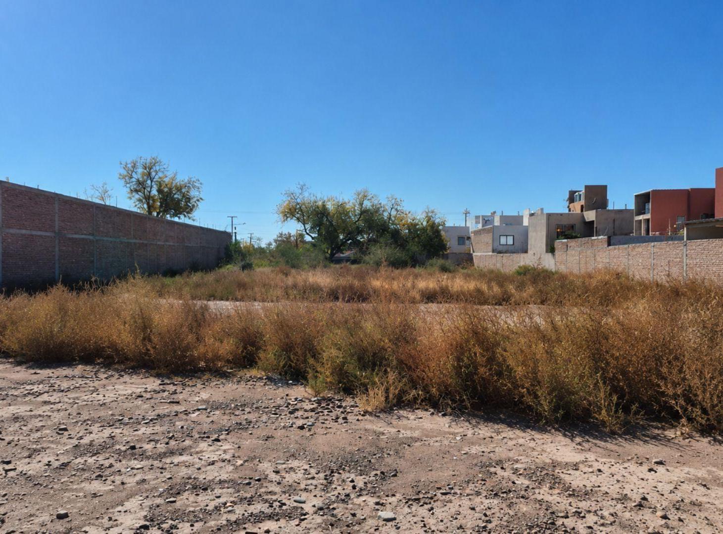 Foto de VENTA LOTE 2500 M2 GUAYMALLEN, imagen 2