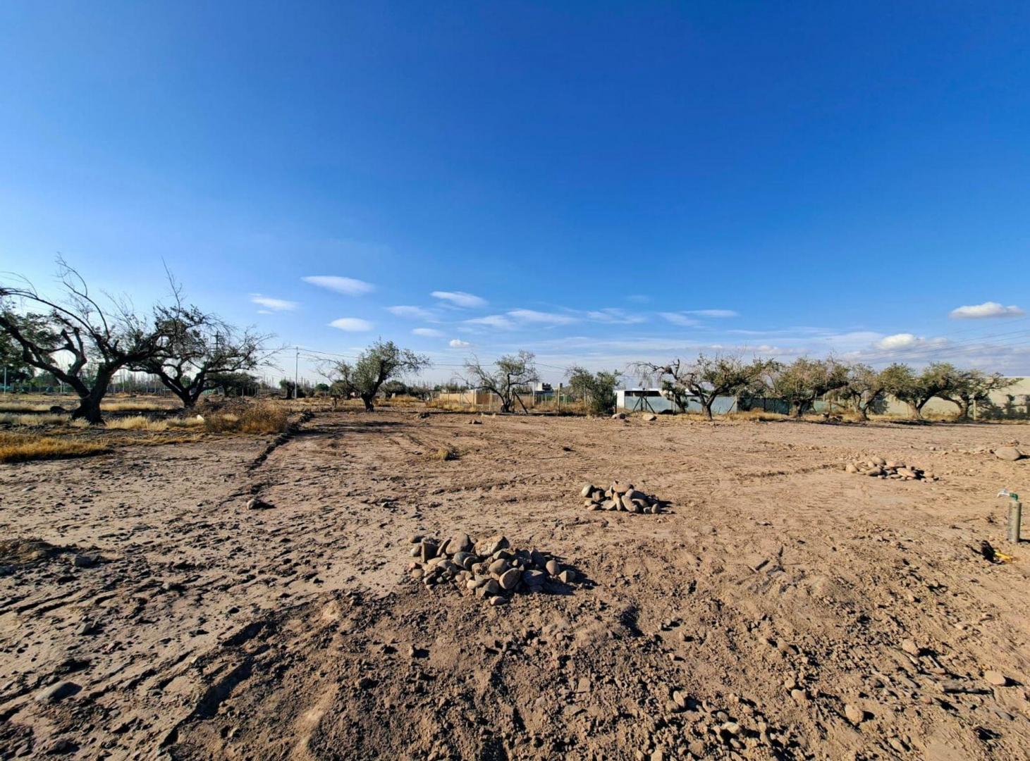 Foto de LOTE EN VENTA-AMPROS VIII-CRUZ DE PIEDRA - MAIPU, imagen 4