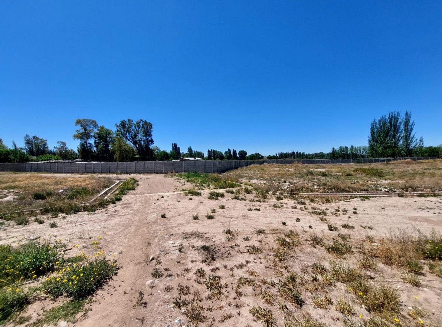 Foto de VENTA TERRENO,BLANCO ENCALADA, LUJAN DE CUYO, imagen 5