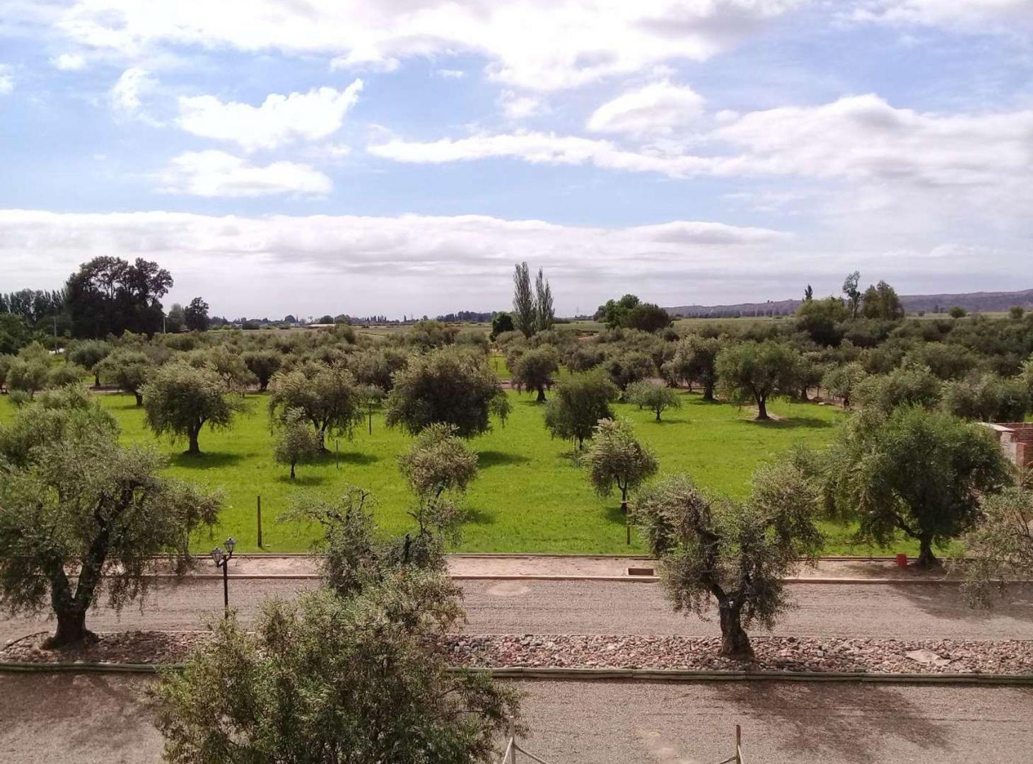 Foto de Terreno en venta Olivos de Furlotti, imagen 3