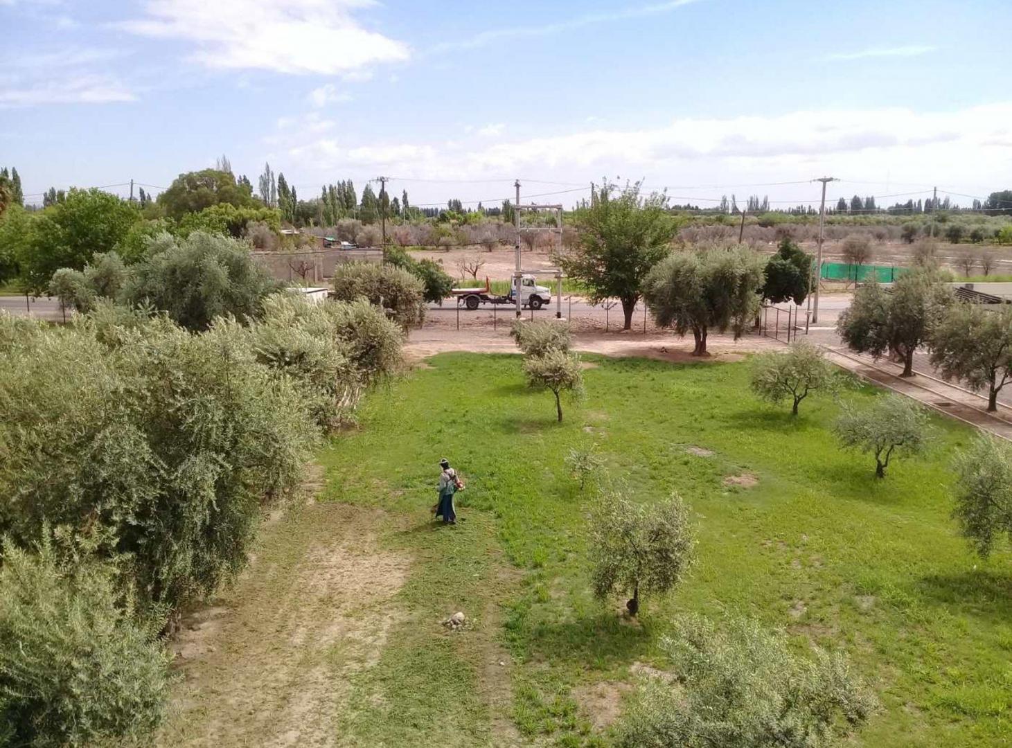 Terreno en venta Olivos de Furlotti