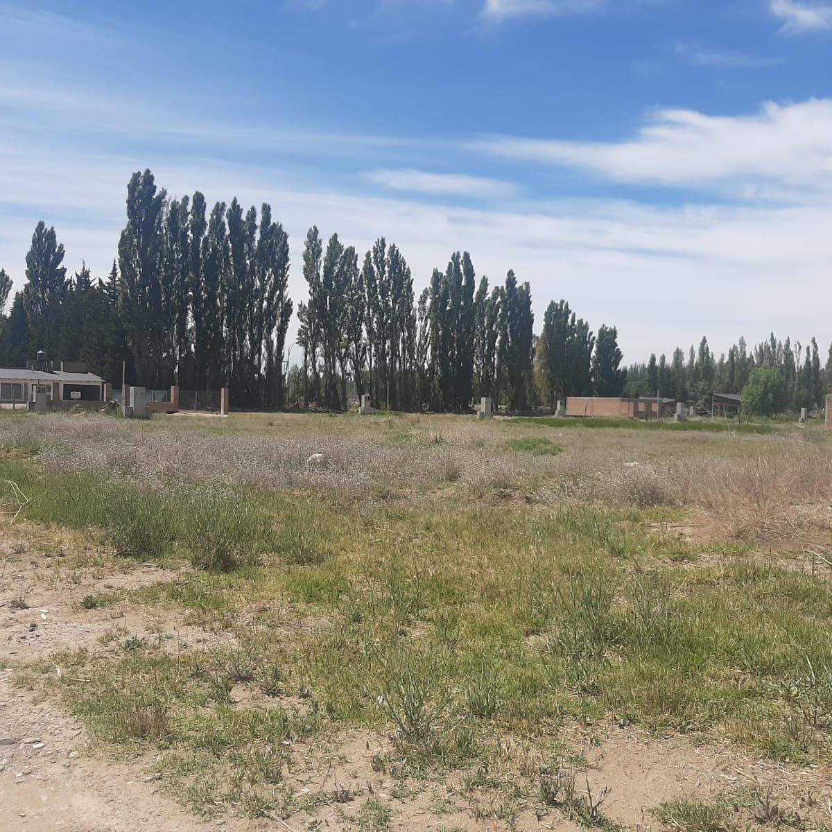 Ultimo Lote Disponible! Barrio El Carmel - Plottier 2