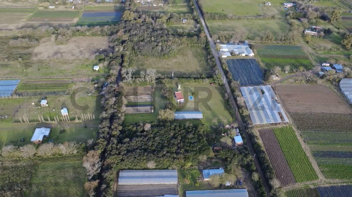 Foto de Venta de lote en barrio semicerrado con escritura y posesión inmediata, imagen 3