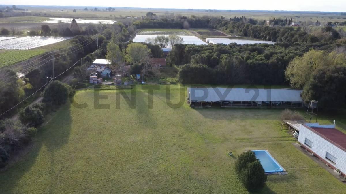 Foto de Venta de lote en barrio semicerrado con escritura y posesión inmediata, imagen 3