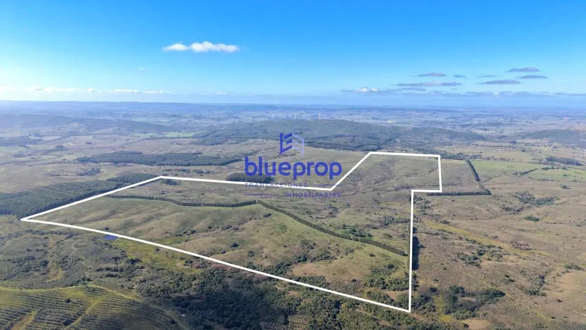Campo Ganadero de 182 hectáreas en Paraje Carapé. Maldonado 5