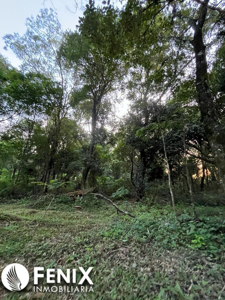 Tf649 - Lotes en Venta Oberá 2