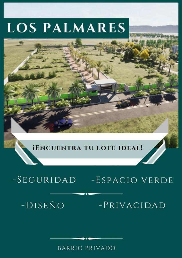 Tf713 - Lotes en Venta Z/ Itaembé Guazú 3