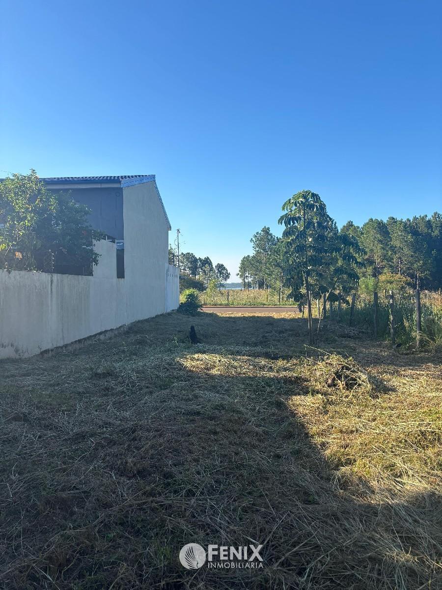 Foto de TF761 - TERRENO EN VENTA - CANDELARIA, imagen 2