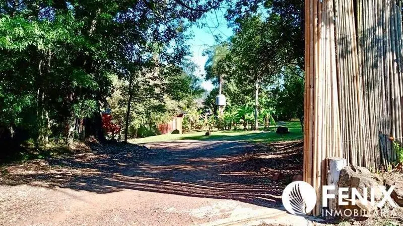 TF881 - LOTE EXCLUSIVO - COSTA YABEBIRY 5