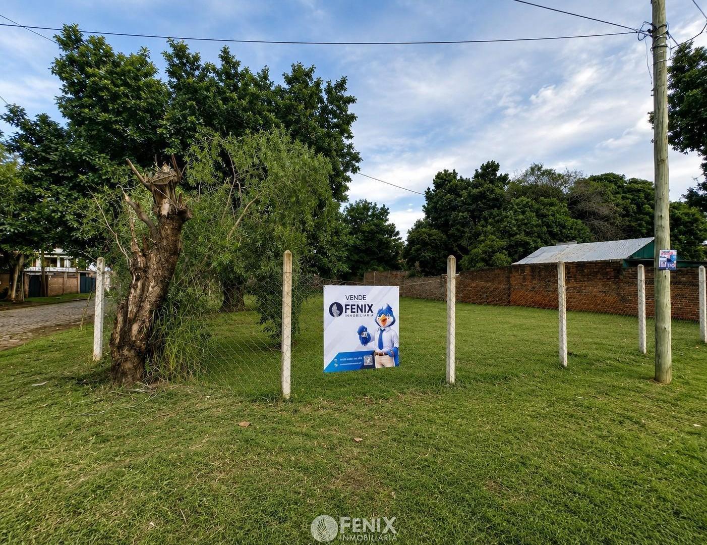 Foto de TF890 - TERRENO EN ESQUINA - 677m2 - AV. JAURETCHE Y ALMTE. BROWN, imagen 3