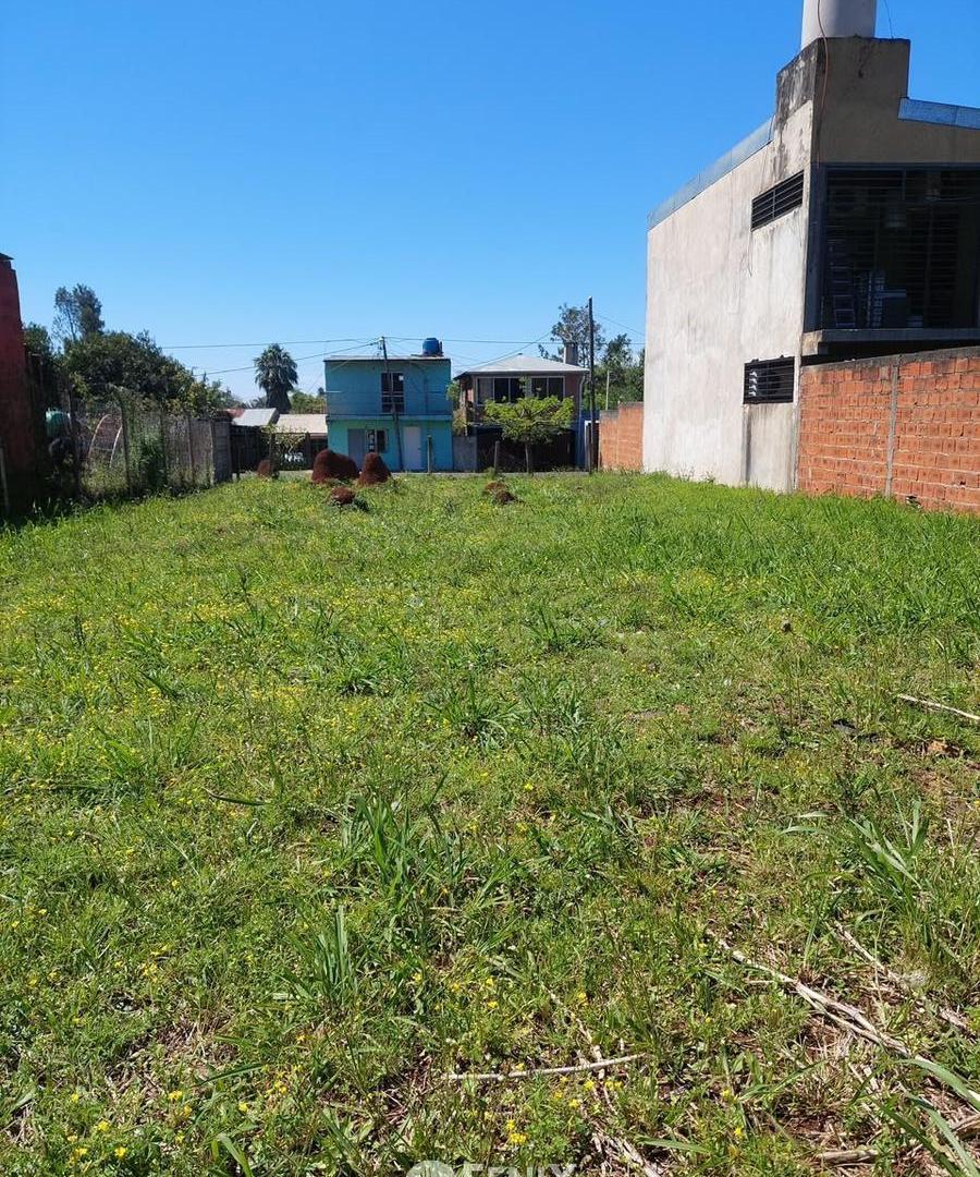 Foto de TERRENO EN VENTA EN BARRIO SAN LUCAS (TF910), imagen 2