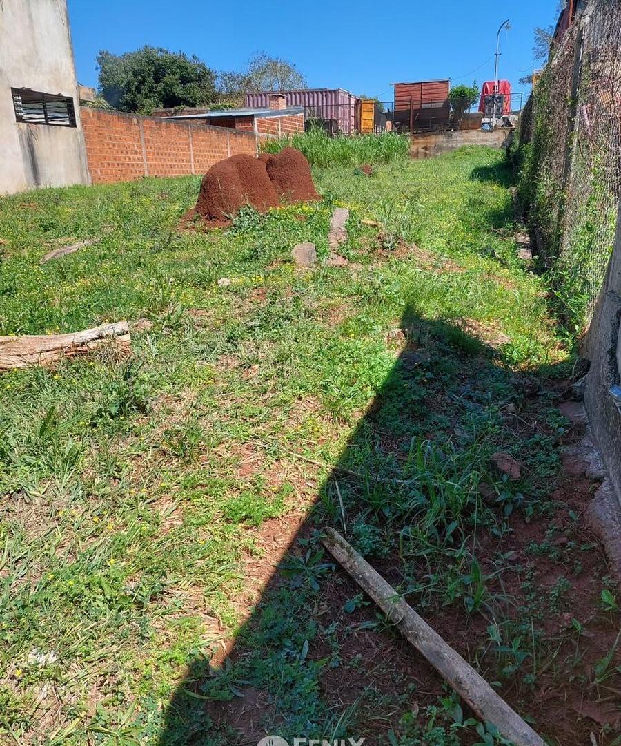 Foto de TERRENO EN VENTA EN BARRIO SAN LUCAS (TF910), imagen 3