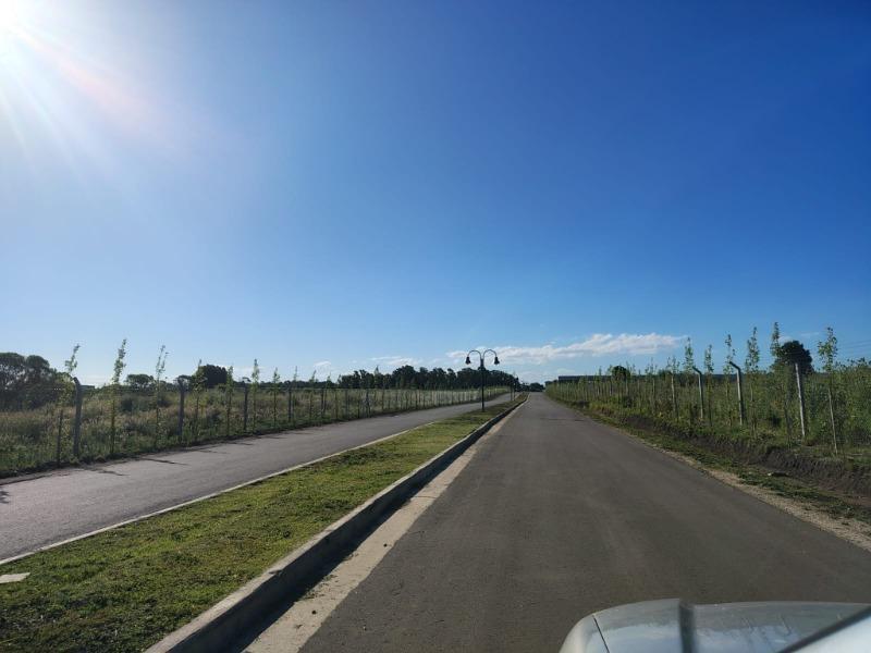 OPORTUNIDAD: LOTE EN LAS PRUNAS – LISTO PARA CONSTRUIR