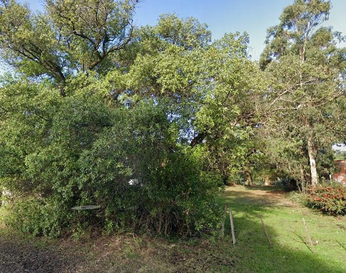 LOTE EN VENTA PLAYA LOS LOBOS 4