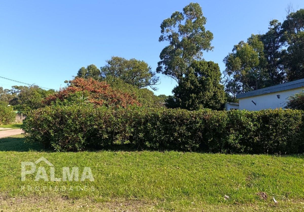 Foto de VENTA CASA CON ESPECTACULAR TERRENO EN ESQUINA - PLAYA LOS LOBOS, imagen 5