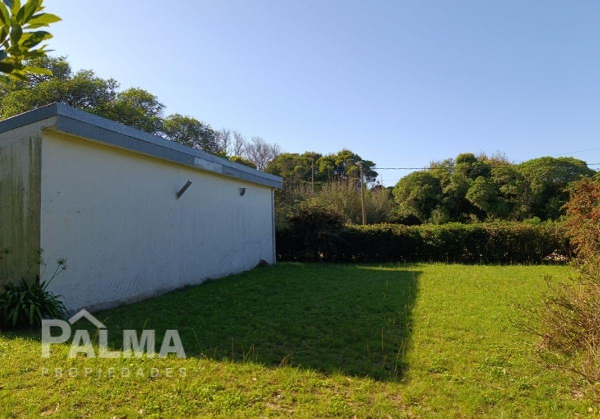 Foto de VENTA ESPECTACULAR LOTE PLAYA LOS LOBOS, imagen 4