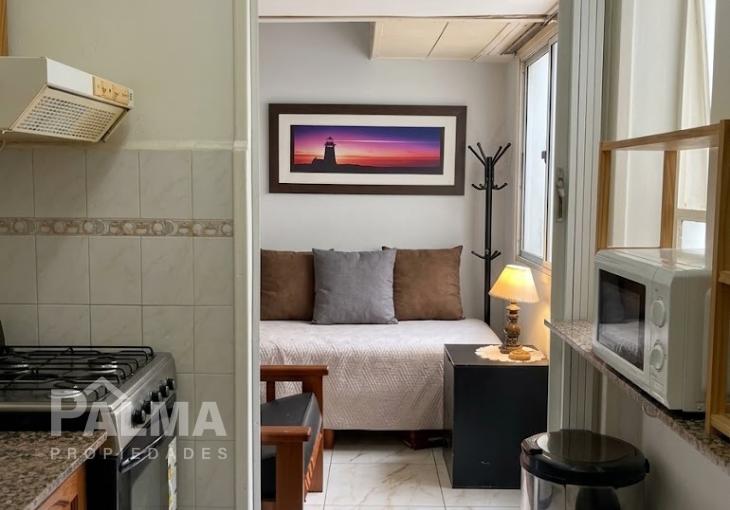 Foto de Departamento de 2 Ambientes con Dependencia - Güemes, imagen 4