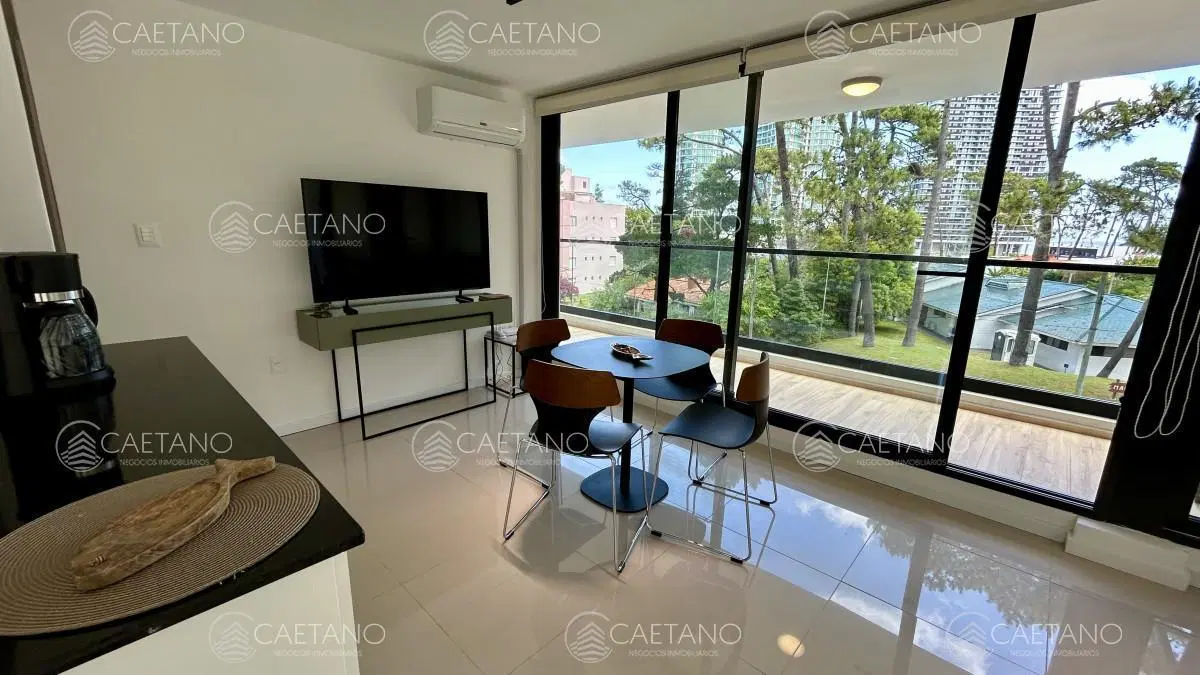 Apartamento en alquiler en Playa Mansa, 2 dormitorios 5
