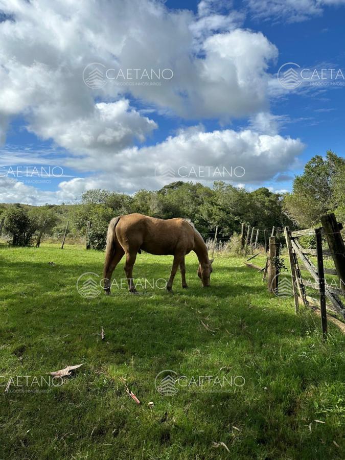 Foto de Venta Chacra Minas, Lavalleja, imagen 3