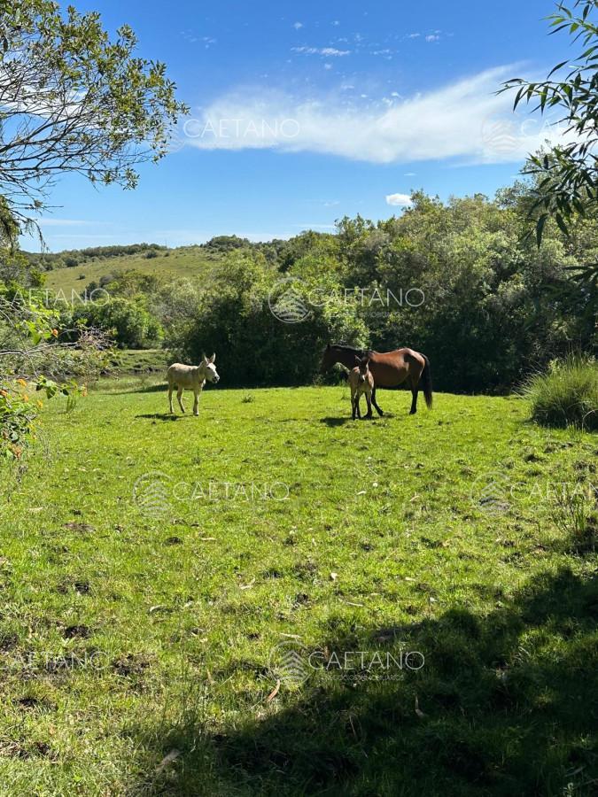 Foto de Venta Chacra Minas, Lavalleja, imagen 1