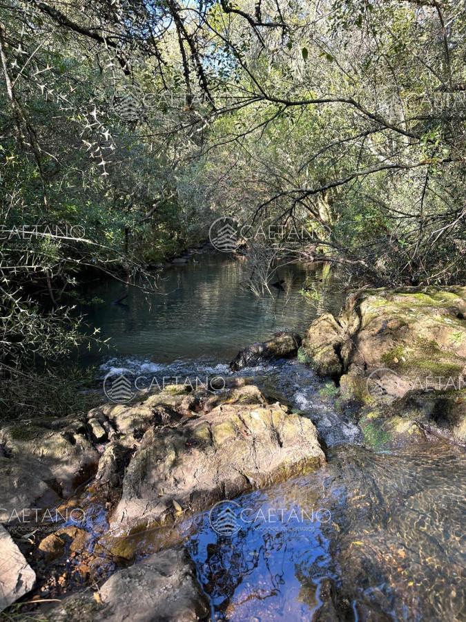 Foto de Venta Chacra Minas, Lavalleja, imagen 4