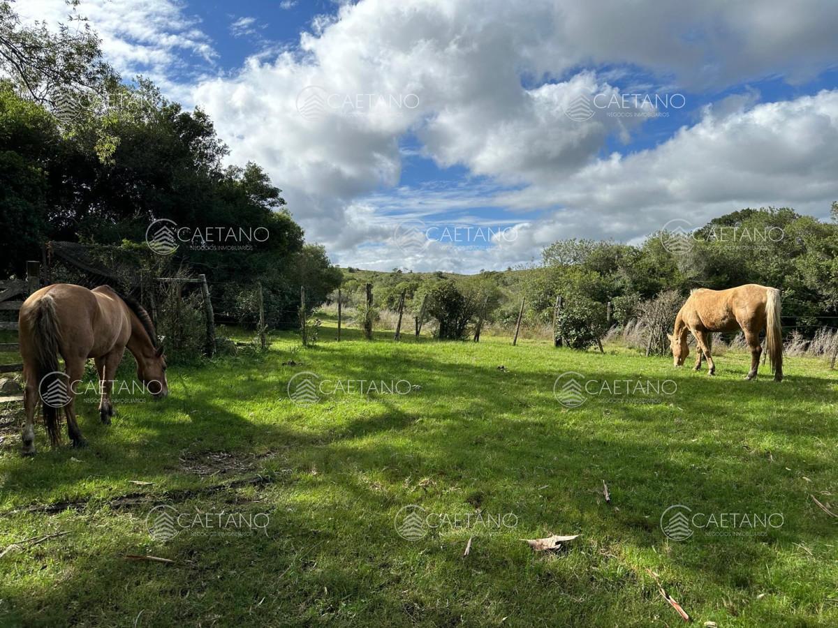 Foto de Venta Chacra Minas, Lavalleja, imagen 2