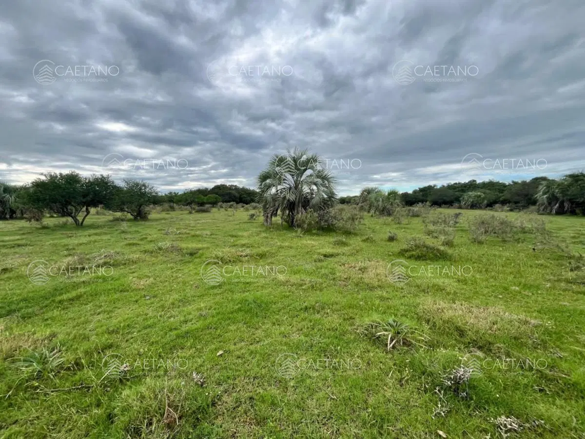 Venta de chacras de 3 has en camino de Los Ceibos. Maldonado. 5