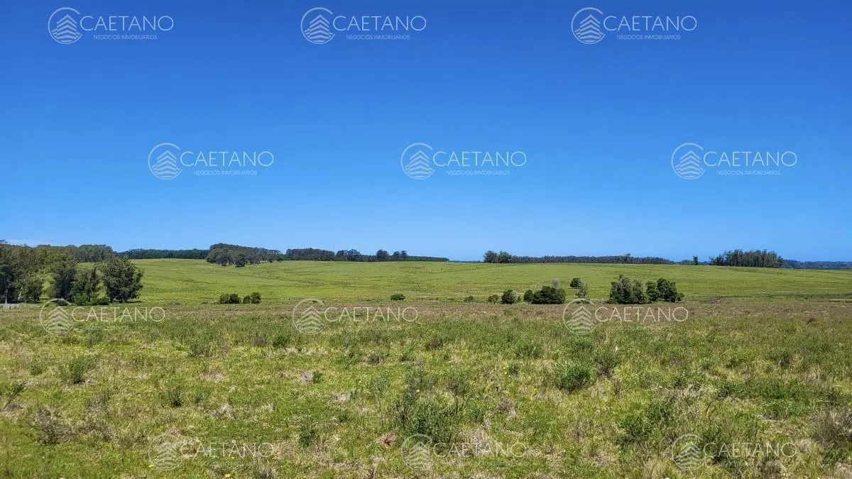 Venta chacra Jose Ignacio con costa Arroyo Anastasio 5