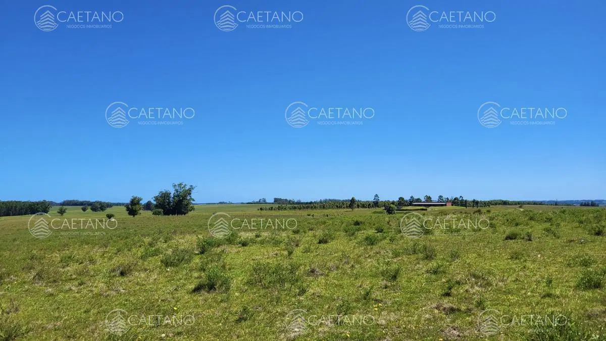 Venta chacra Jose Ignacio con costa Arroyo Anastasio 1