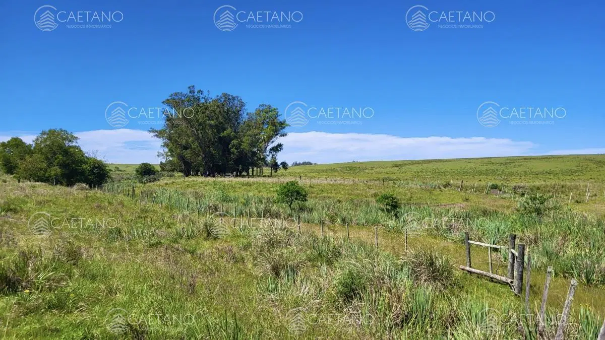 Venta chacra Jose Ignacio con costa Arroyo Anastasio 3
