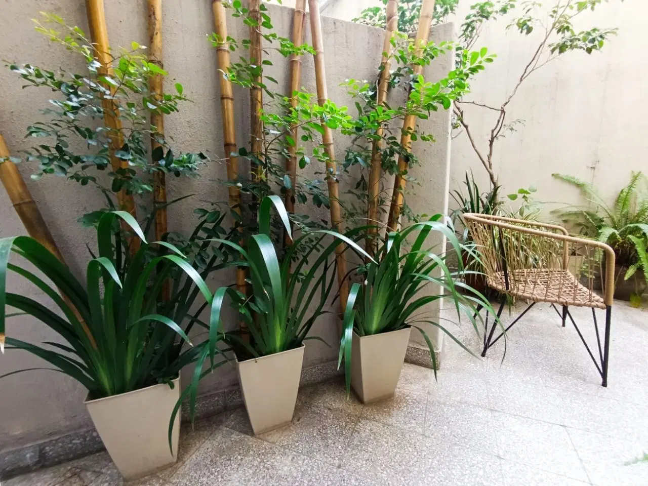 VENTA DEPARTAMENTO 2 AMBIENTES CON PATIO PALERMO 3