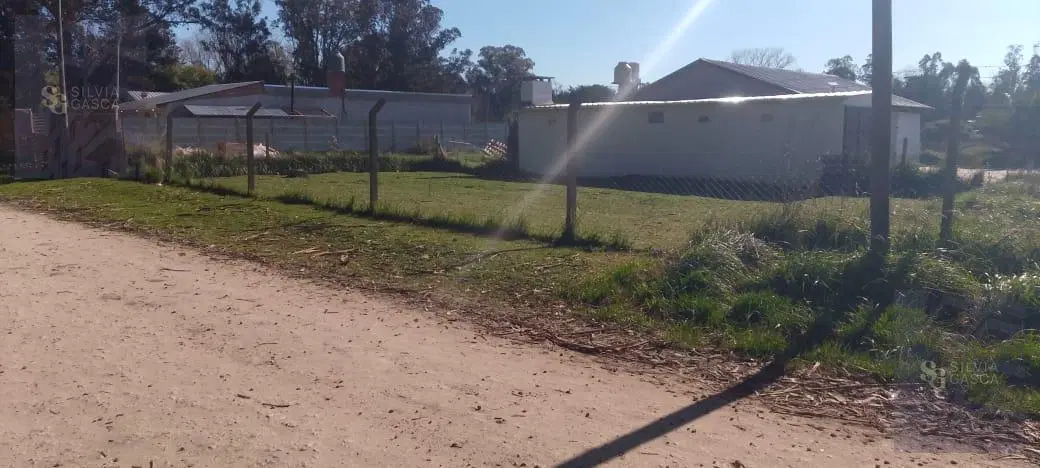 Terreno - La Trinidad 5