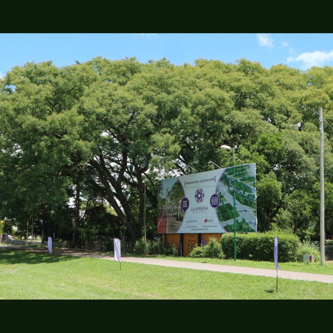 Foto de VENDO TERRENO BARRIO LA VERBENA, imagen 4