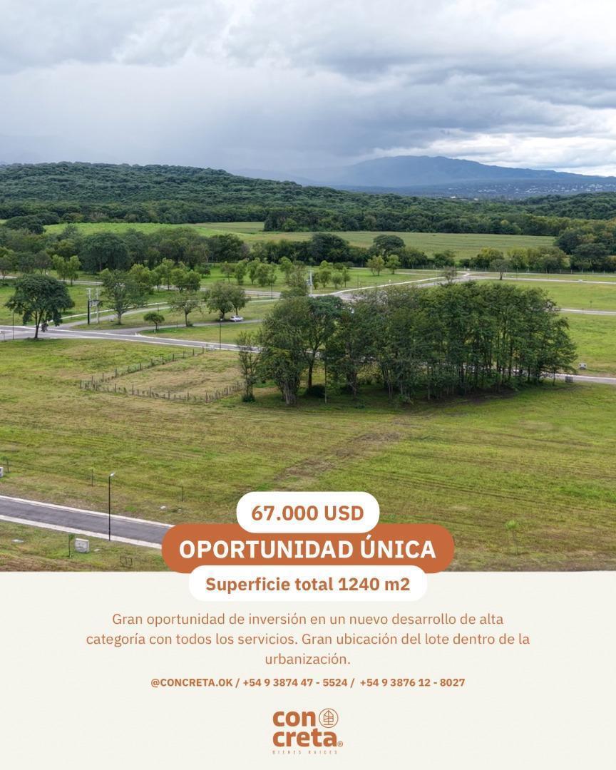 Foto de VENTA TERRENO LA ARBOLADA - OPORTUNIDAD, imagen 1
