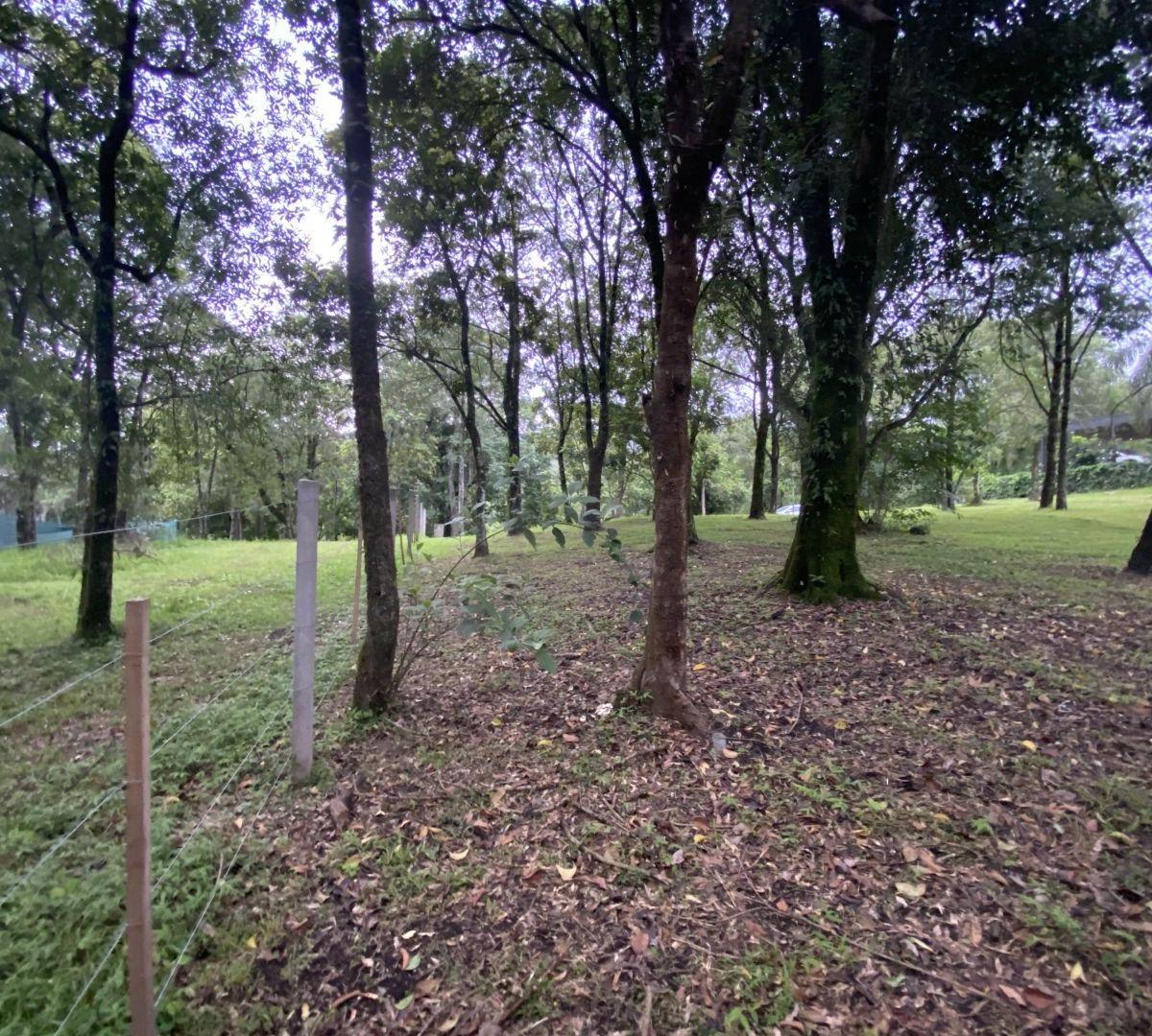 Lote . | Country La Arboleda