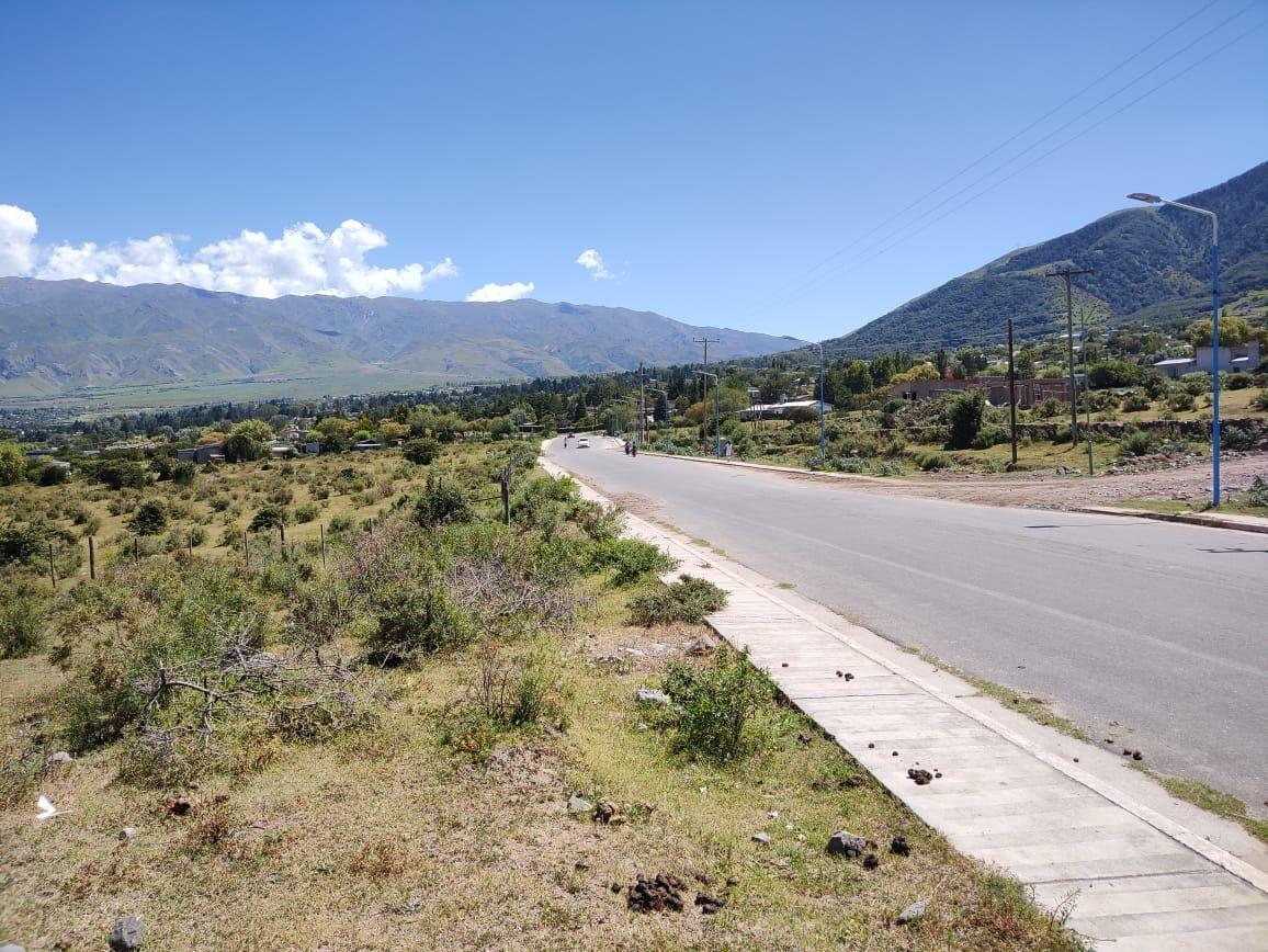 Lote. | Av Lola Mora 2