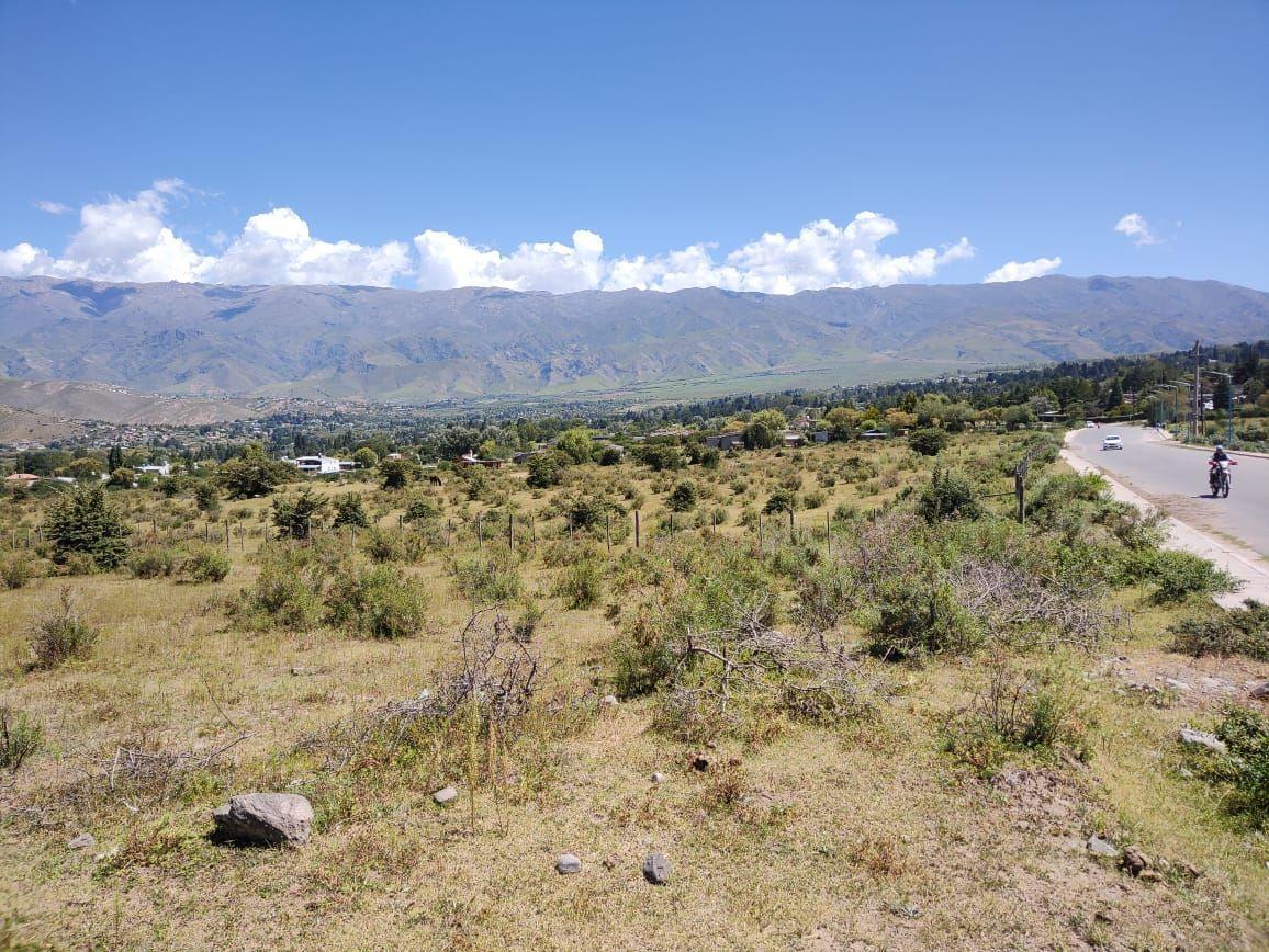 Lote. | Av Lola Mora 1