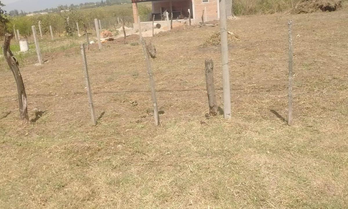 Lote. | Maipu 2200 3