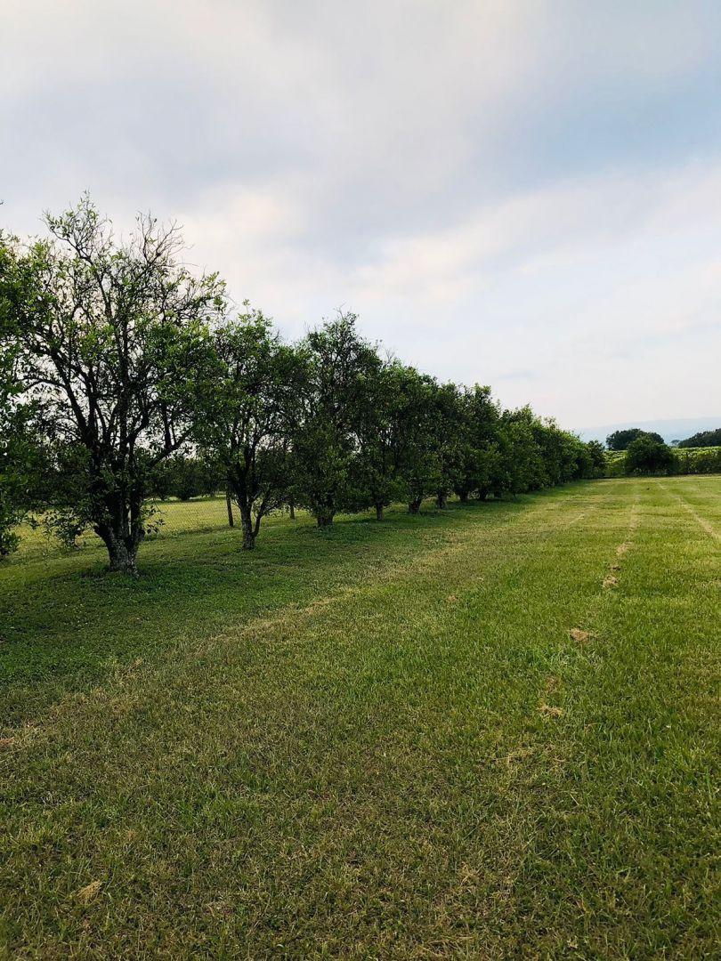 Lote. | Club de Campo Las Moritas - Tafí Viejo 1