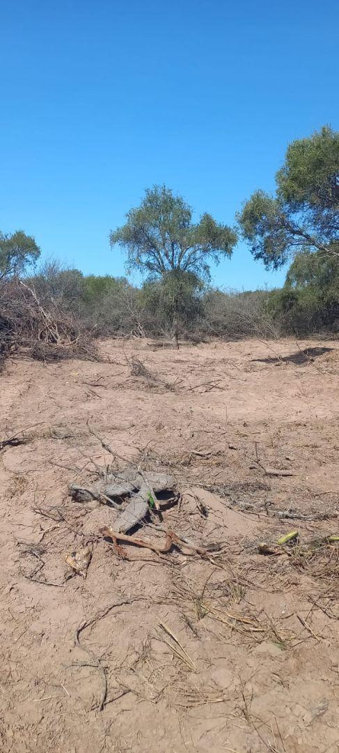 Lote. | Termas de Río Hondo 4