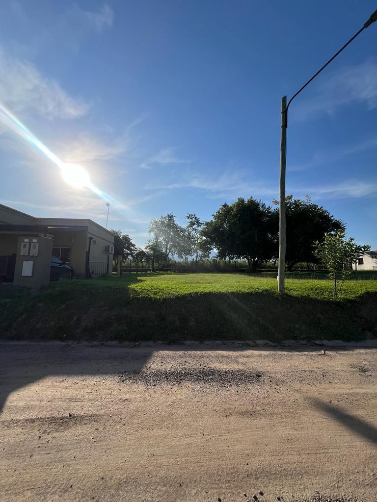 Lote . | Country labradores - Los Nogales