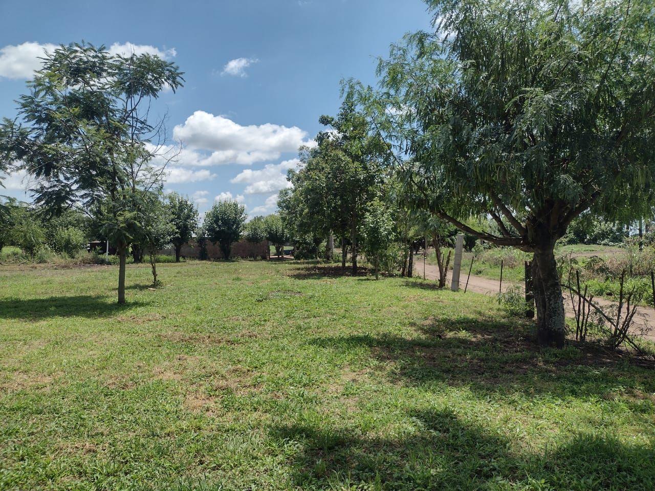 Foto de Campo 3.50 hectáreas | . | La Ramada y La Cruz, imagen 2