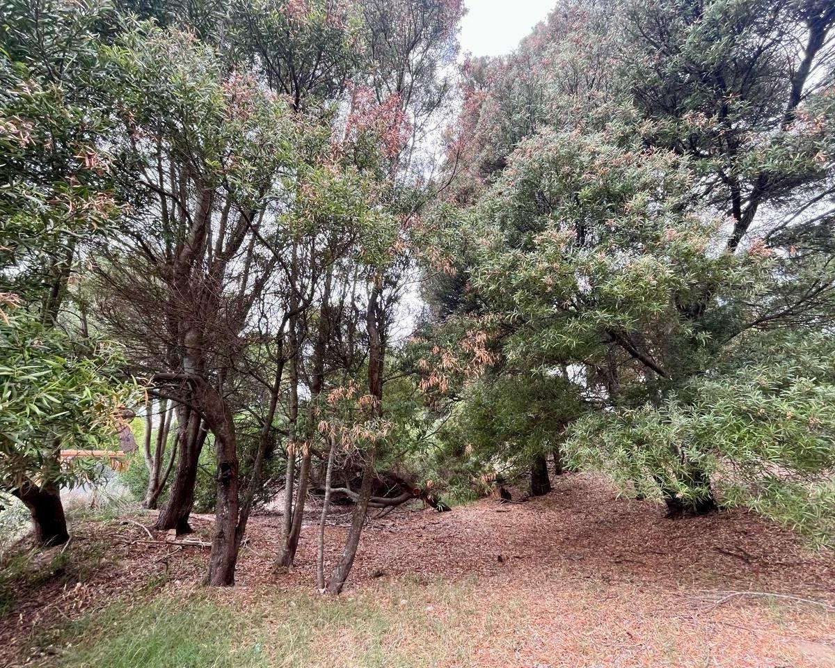 Terreno en Costa Esmeralda, Senderos III 1