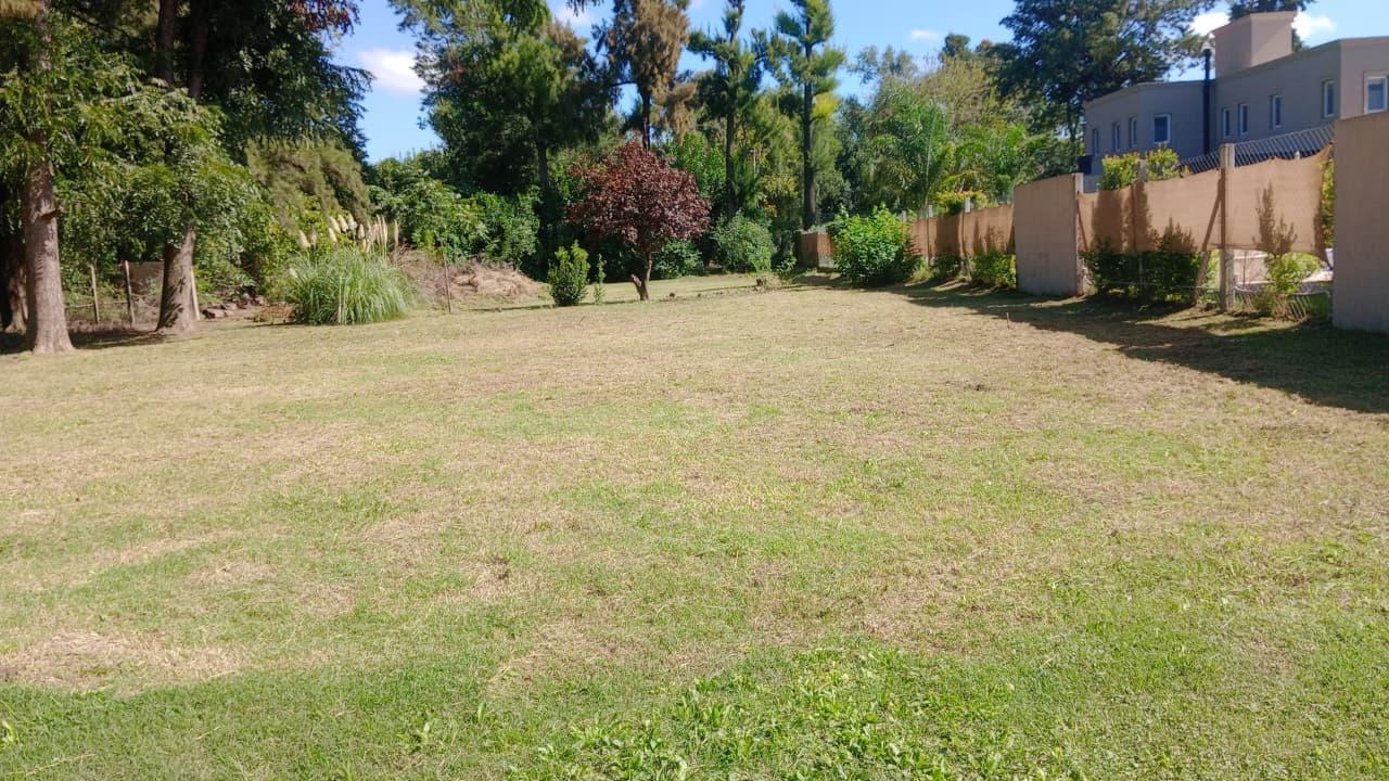 Foto de Terreno en Bella Vista, imagen 1