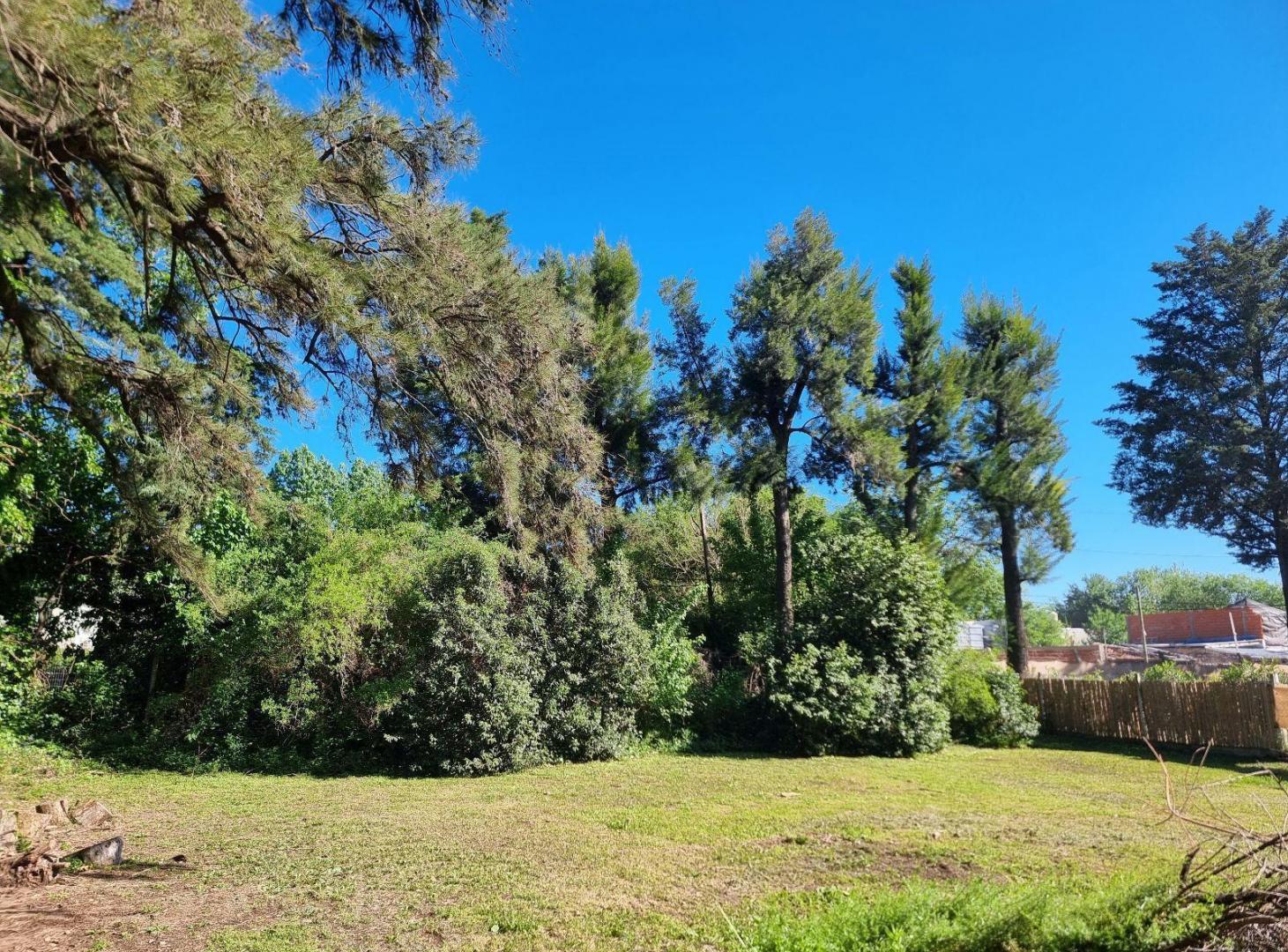 Foto de Terreno en Bella Vista, imagen 4
