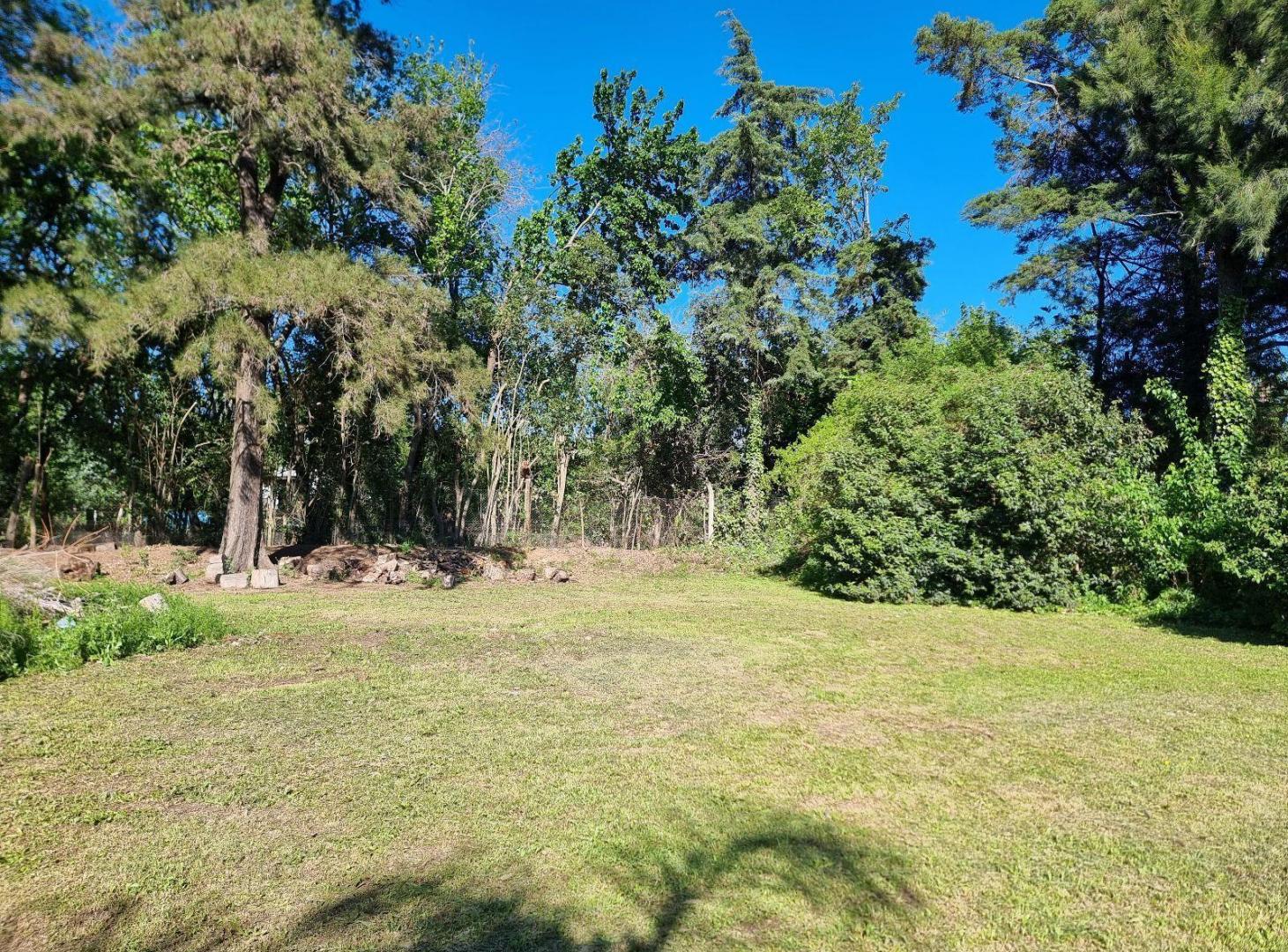 Foto de Terreno en Bella Vista, imagen 2