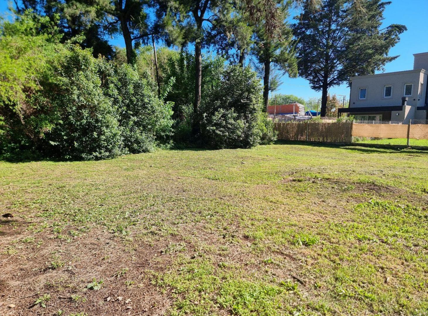 Foto de Terreno en Bella Vista, imagen 5