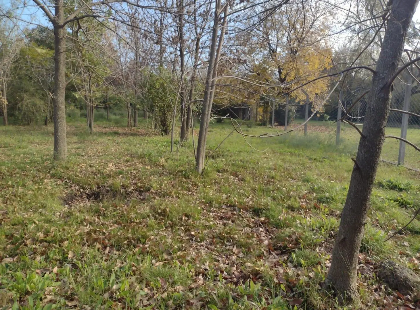 LOTE en Villa Astolfi, Pilar 3