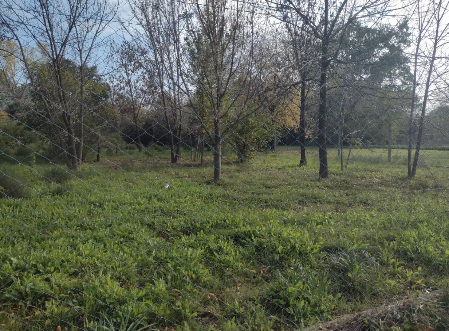 LOTE en Villa Astolfi, Pilar 5