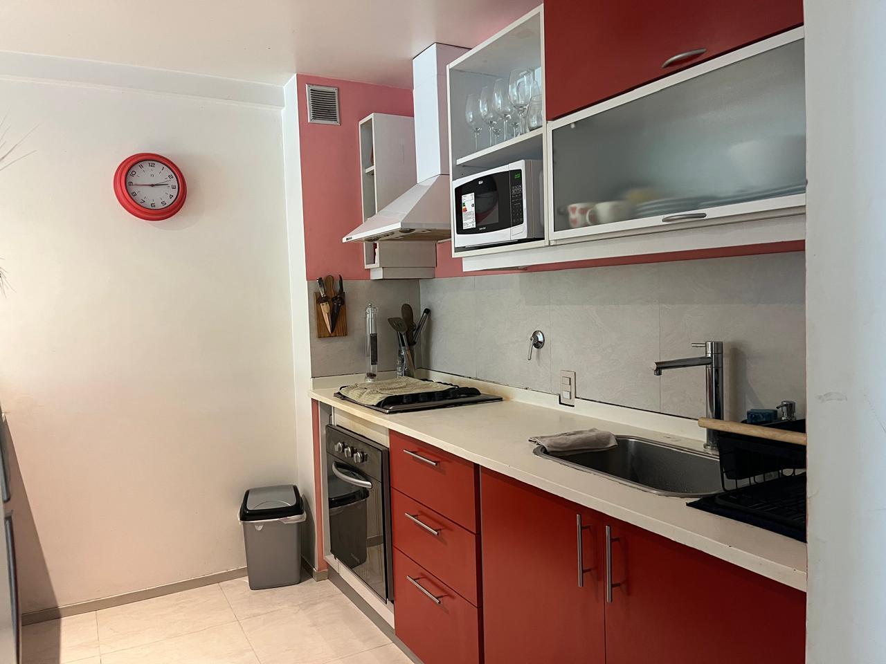Foto de Departamento en Buenos Aires Village, imagen 2